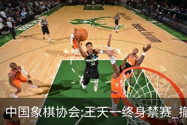 中国象棋协会:王天一终身禁赛 撤销特大等称号
